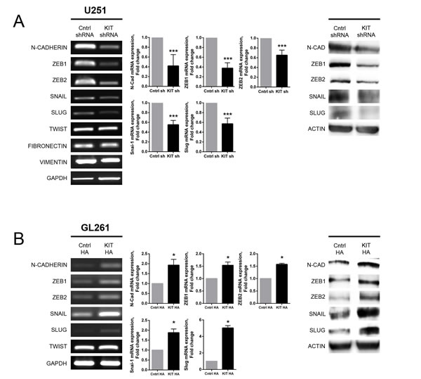 FIG3