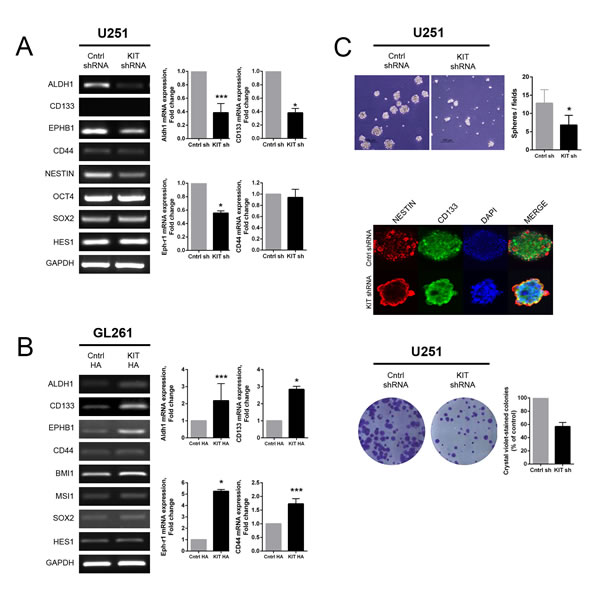 FIG4