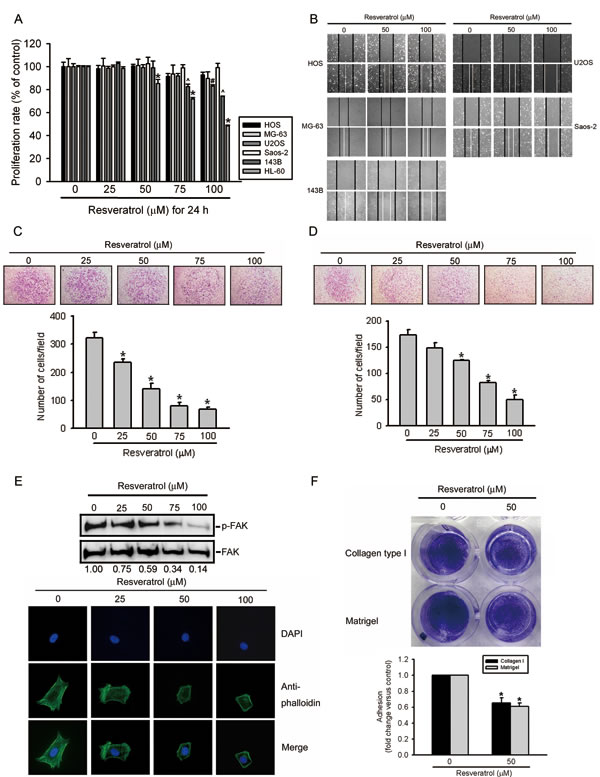 fig1