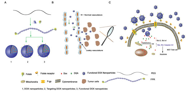 fig1