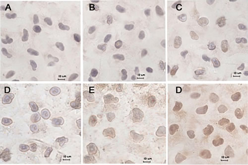 fig6