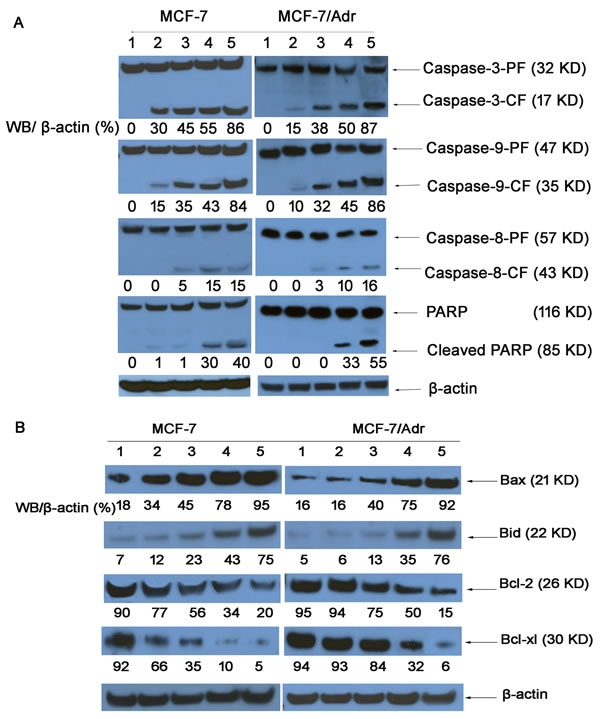 fig8