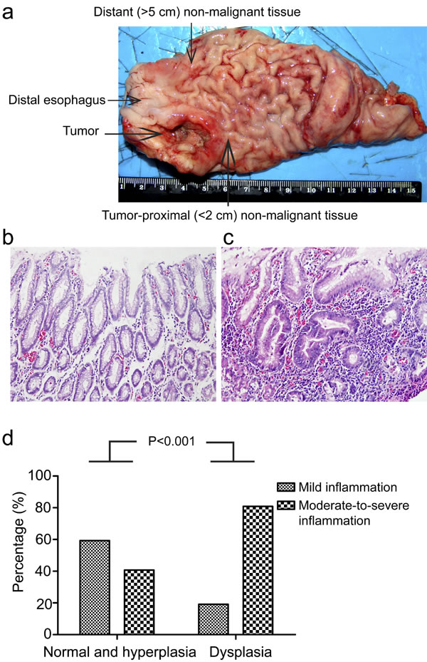 fig1