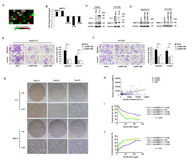 fig3