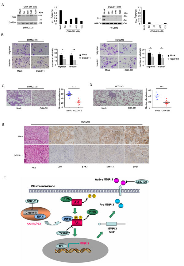 fig6