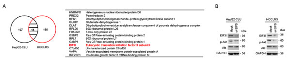 fig5a