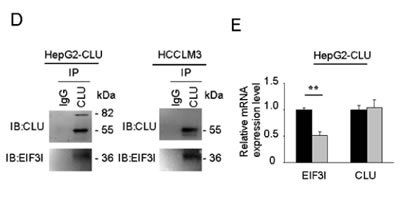 fig5d