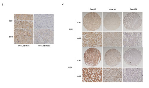 fig5i