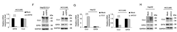 fig5f