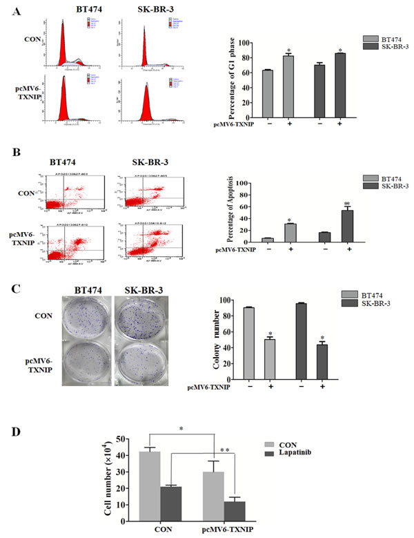 fig2