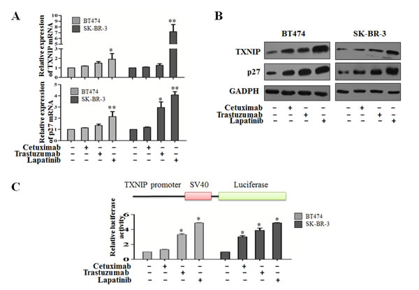 fig3
