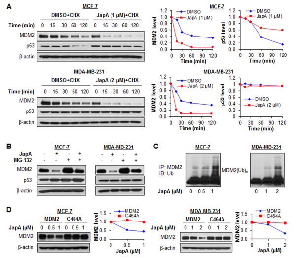 fig6