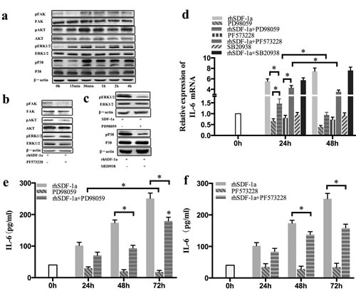 fig6