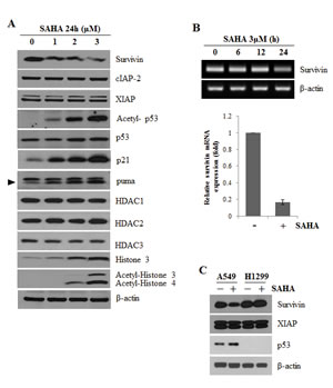 fig1a