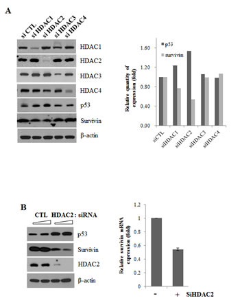 fig2a