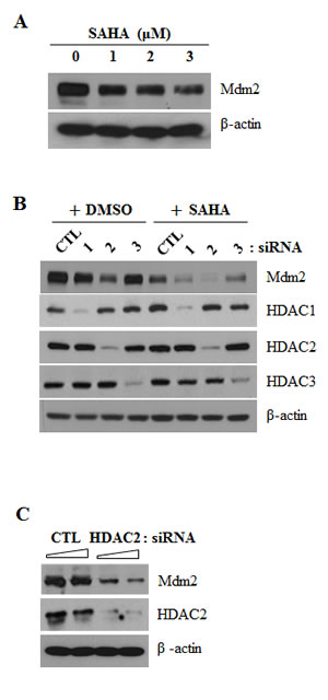 fig3a