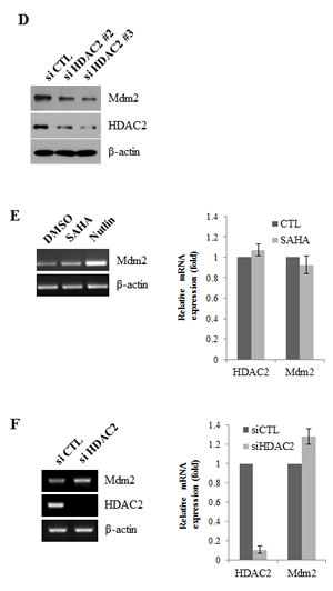 fig3b