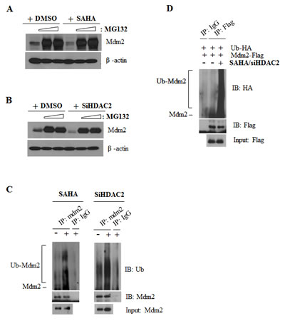 fig4