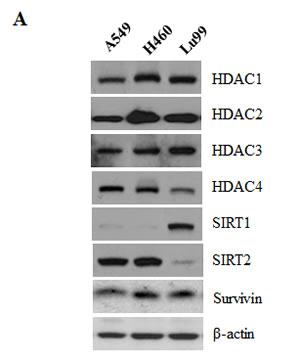 fig5a