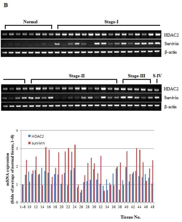 fig5b