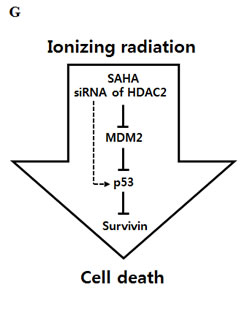 fig6e