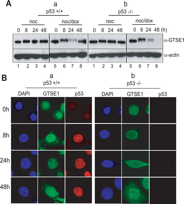 fig4