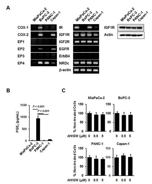 fig1