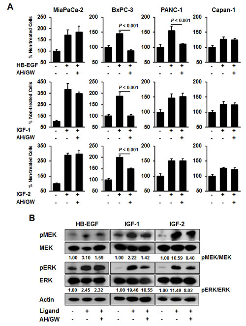fig2