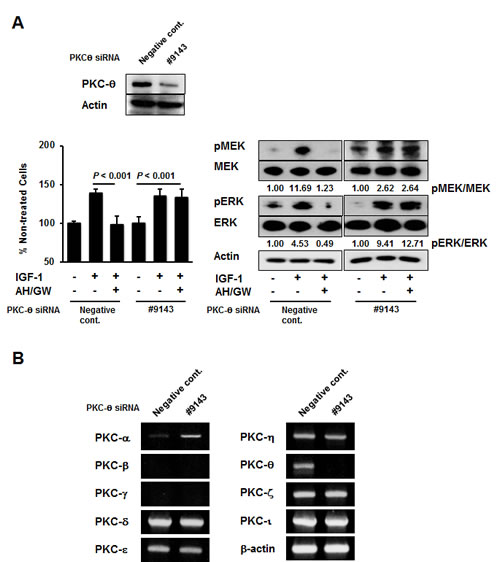 fig4