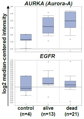 Hoellein-Figure 1-6.pdf