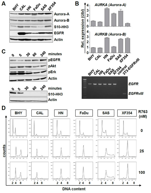 Hoellein-Figure 1-6.pdf