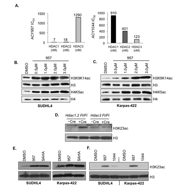 fig2
