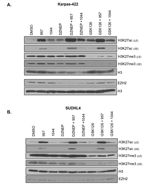fig4