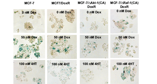 figure 3.pdf