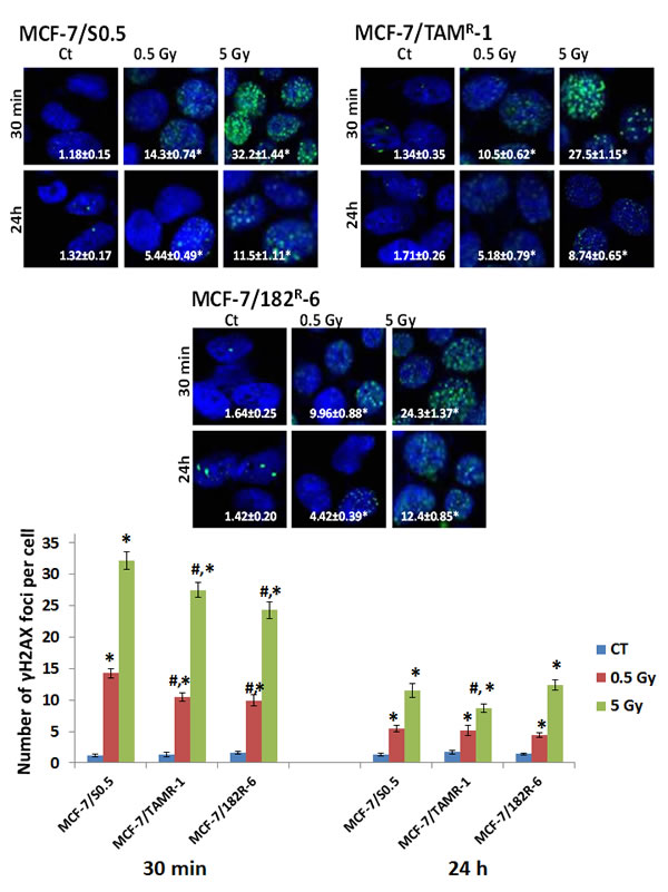 fig3