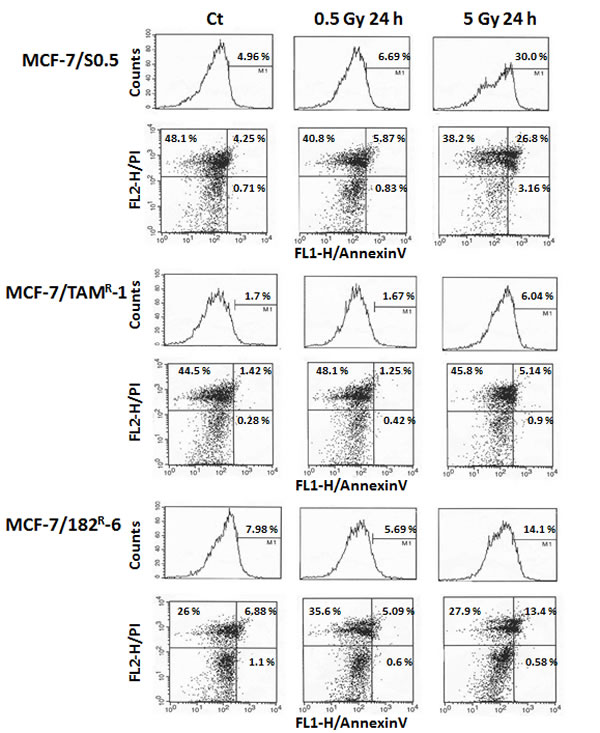 fig6