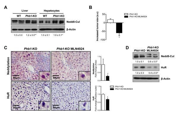 fig2