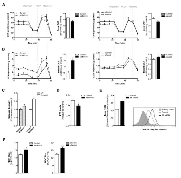 fig3