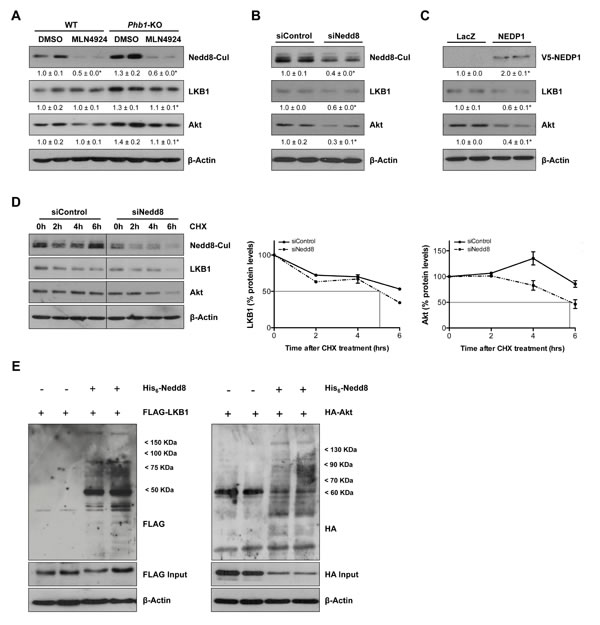 fig6