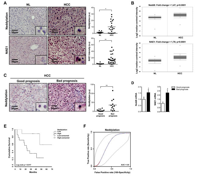 fig1