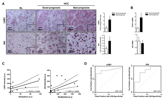 fig4