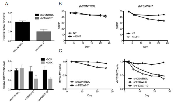 fig3