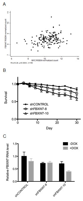 fig4