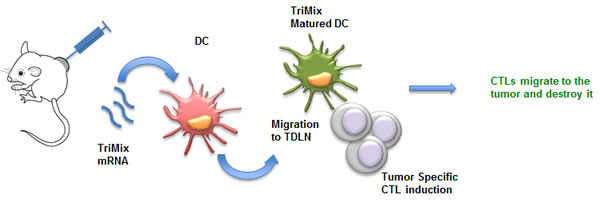 fig2