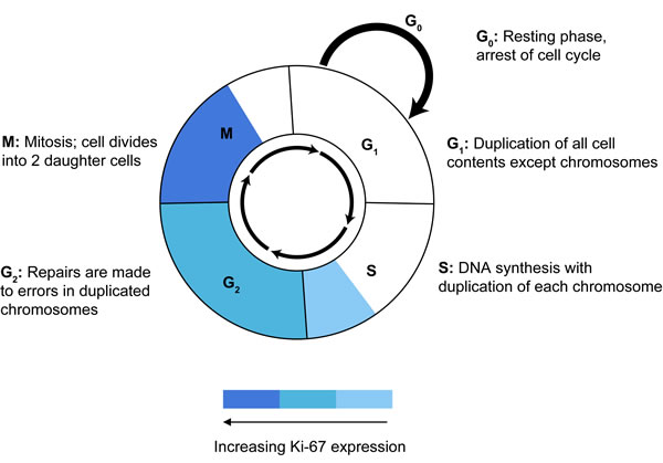 fig6