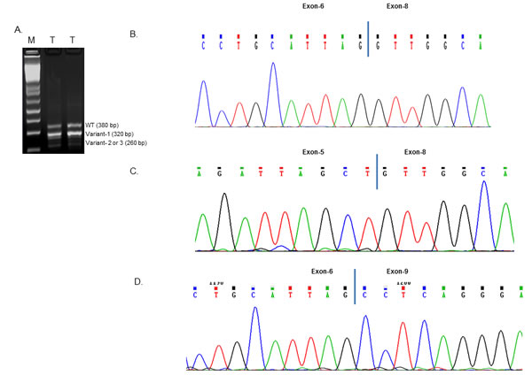 fig1