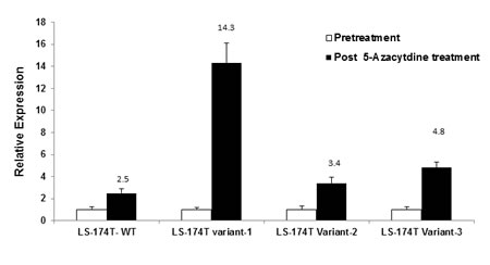 fig5
