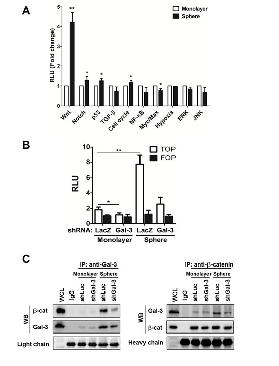 fig4