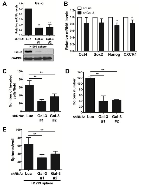 fig6