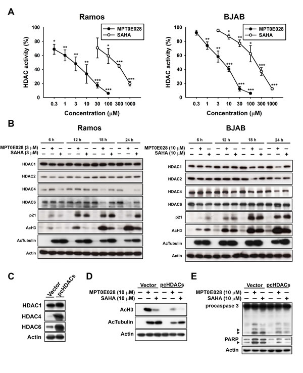 fig2
